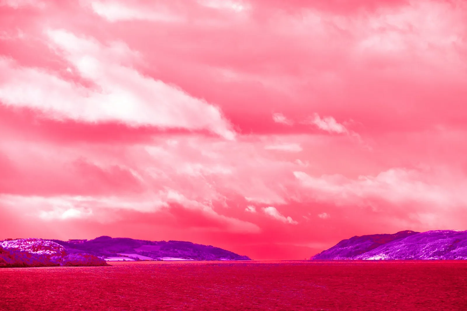 contactar servicios de traduccion y corrección tesis, textos